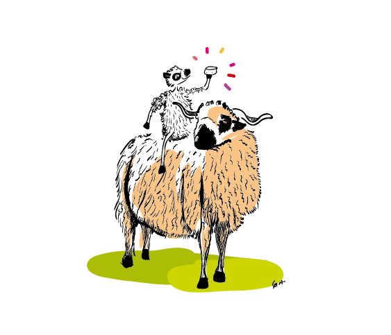 thones et marthaud avec agneau-01